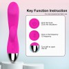 12 Function Vibration Digiheatnc Vibrator